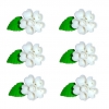 Esterki zestaw(biały) Średnica kwiatu:3cm